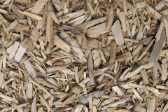 biomass boilers Java